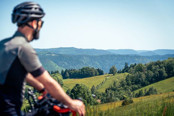 Landesradfernwege in Baden-Württemberg